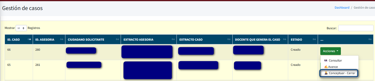 Captura de pantalla del formulario para conceptuar y cerrar caso