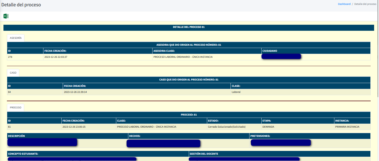 Captura de pantalla del reporte detalle del proceso